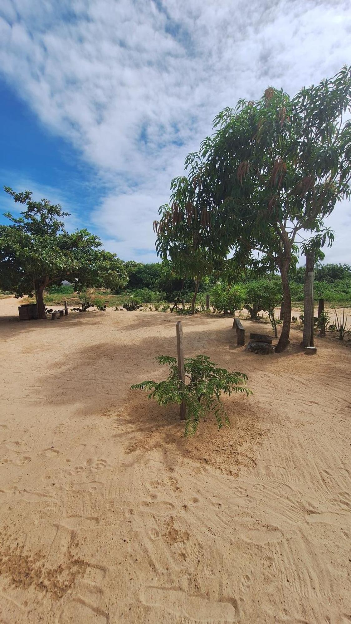 Pousada Maria Sara Jijoca de Jericoacoara Ngoại thất bức ảnh